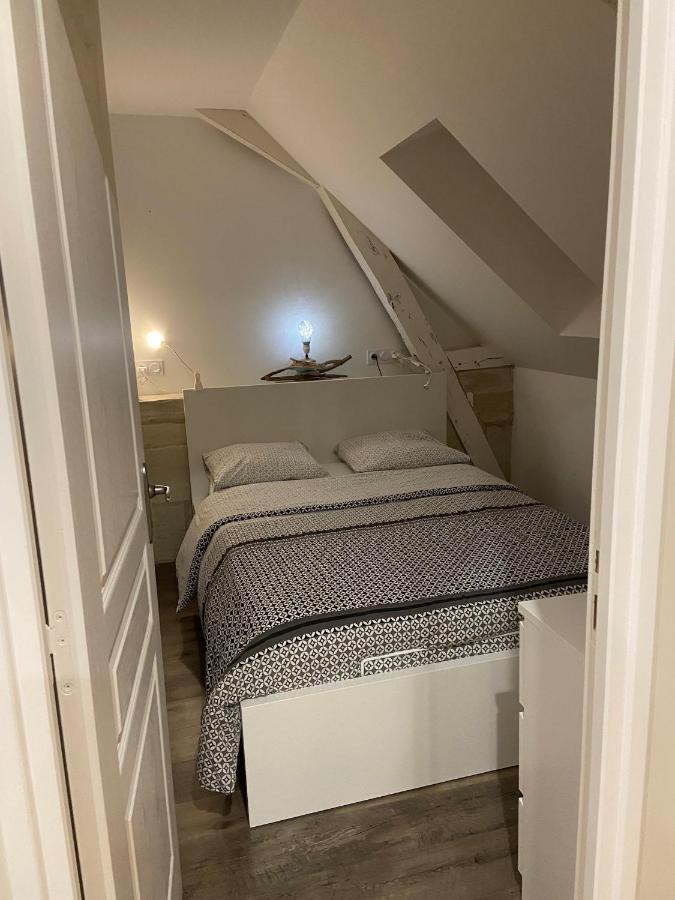 Appartement Du Chateau De La Caillerie Avoine Exteriör bild